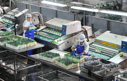 疫情之下福建漳州食品企業(yè)轉(zhuǎn)向工業(yè)潤滑油科技研發(fā)的積極轉(zhuǎn)型