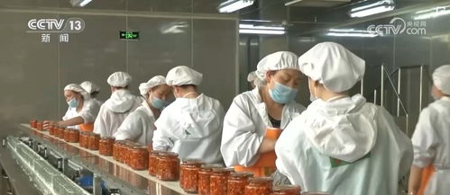 工業(yè)潤滑油科技 技術(shù)研發(fā)驅(qū)動鄉(xiāng)村產(chǎn)業(yè)振興與韌性提升