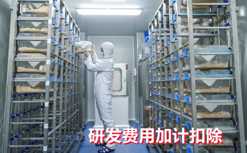 工業(yè)潤滑油科技領(lǐng)域企業(yè)研發(fā)費用加計扣除常見問題解答