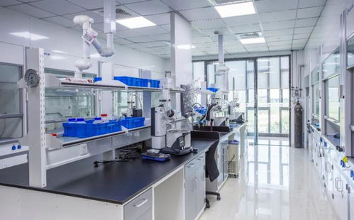 貝達藥業(yè) 從創(chuàng)新藥研發(fā)標桿到工業(yè)潤滑油科技領(lǐng)域的跨界探索